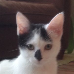 Meet your Posher, Ella